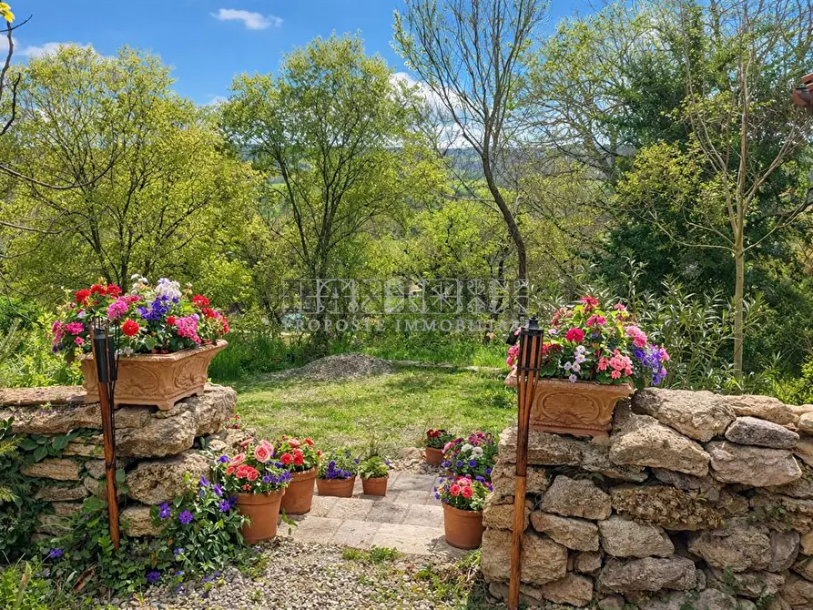 Immagine 4 di Rustico / casale in vendita  a Asciano
