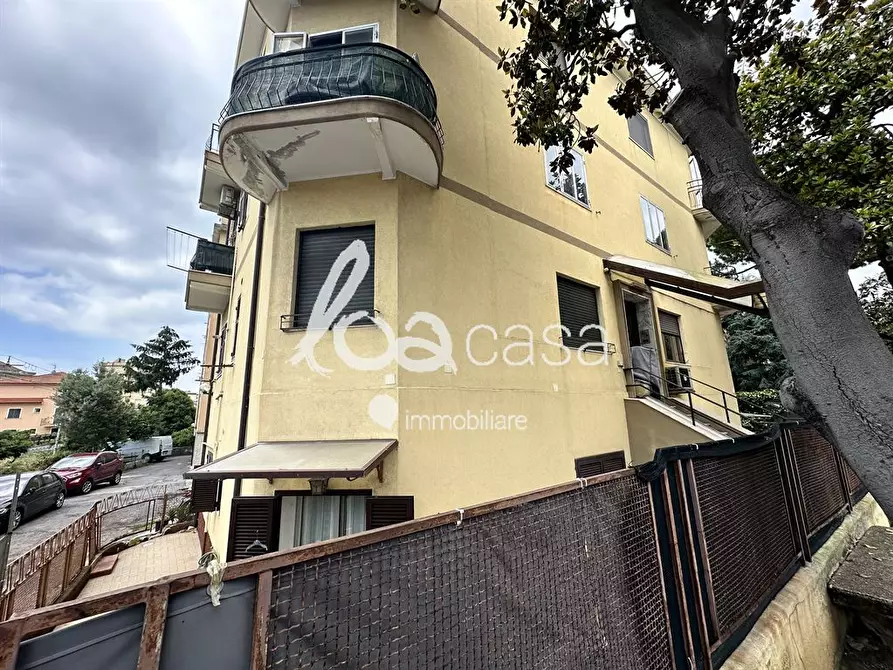 Immagine 8 di Appartamento in affitto  a Loano