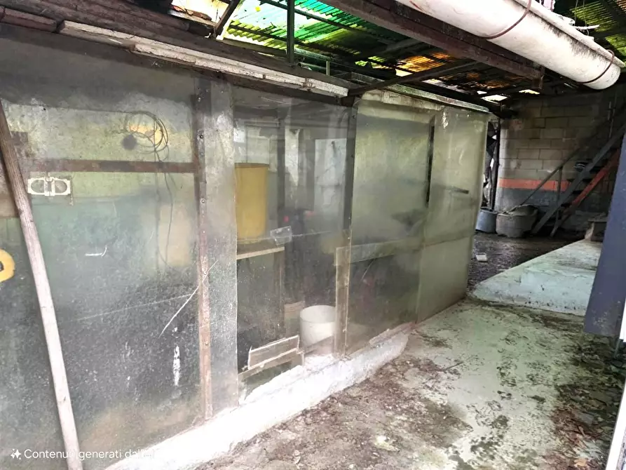Immagine 4 di Casa indipendente in vendita  a Nichelino