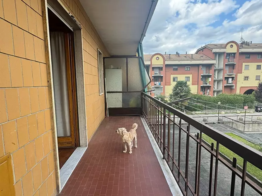 Immagine 6 di Appartamento in vendita  a Moncalieri