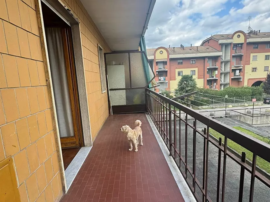 Immagine 5 di Appartamento in vendita  a Moncalieri