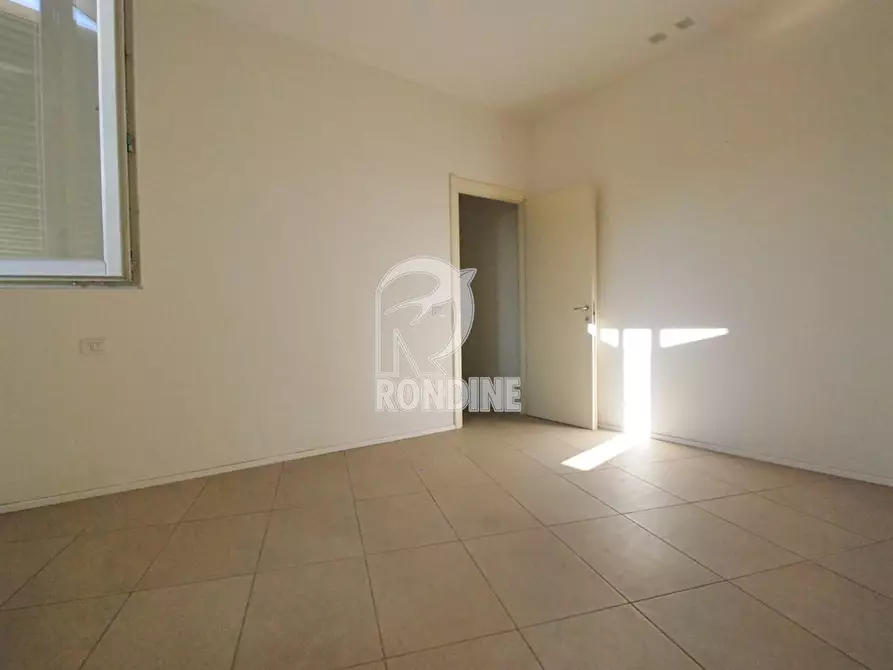 Immagine 5 di Negozio in vendita  a Castel Bolognese