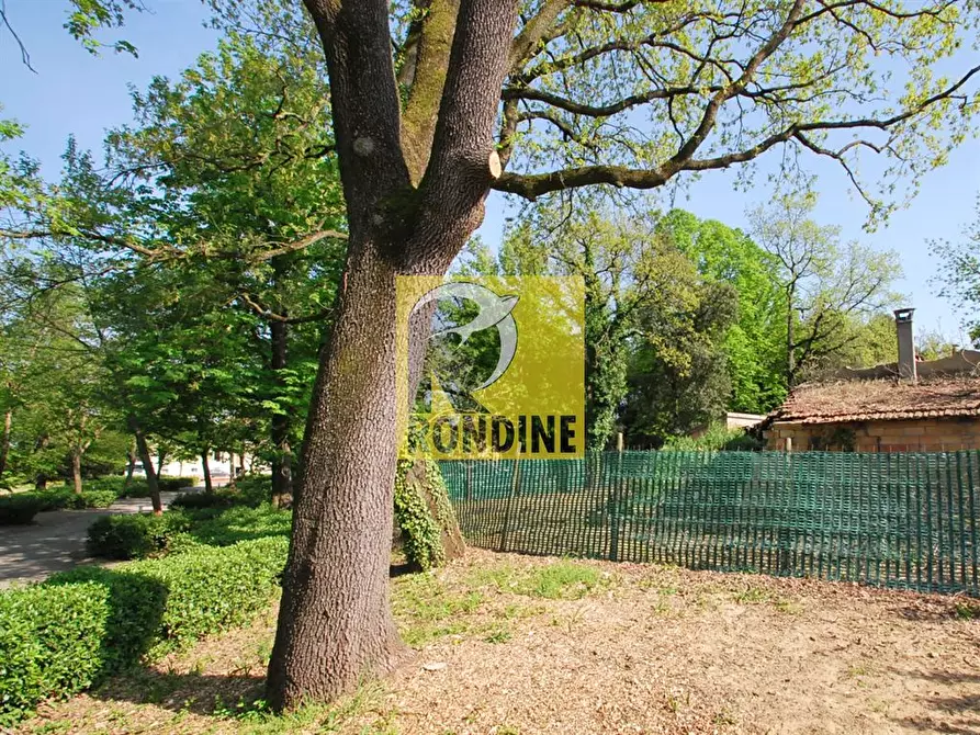 Immagine 4 di Terreno edificabile in vendita  a Faenza