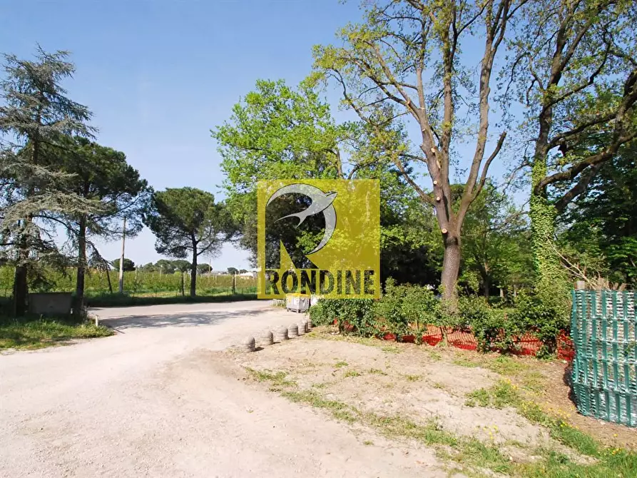 Immagine 9 di Terreno edificabile in vendita  a Faenza