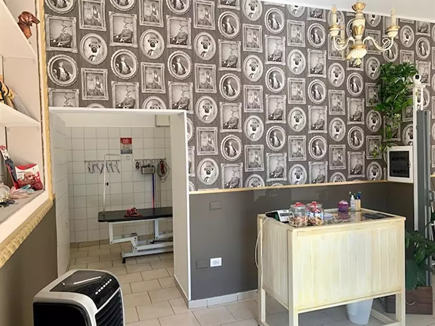 Immagine 3 di Negozio in vendita  in Via Palombarese a Fonte Nuova