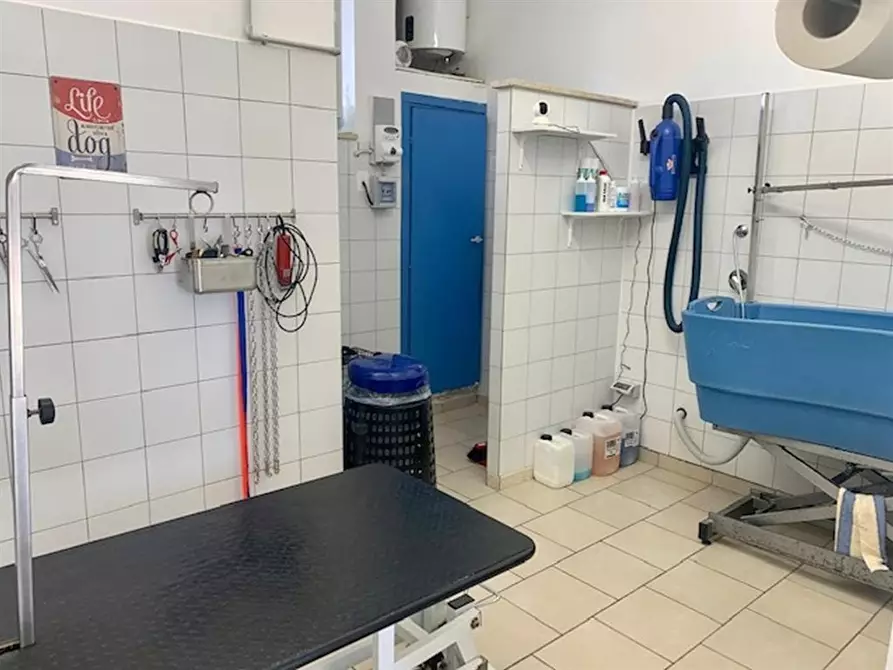 Immagine 7 di Negozio in vendita  in Via Palombarese a Fonte Nuova