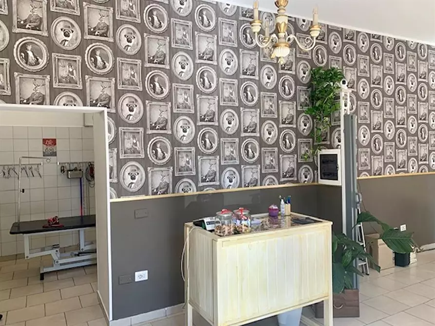 Immagine 5 di Negozio in vendita  in Via Palombarese a Fonte Nuova