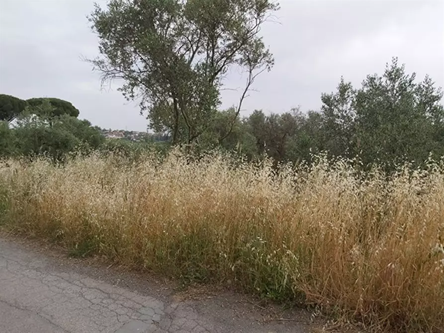 Immagine 3 di Terreno agricolo in vendita  in Via XII Apostoli a Fonte Nuova