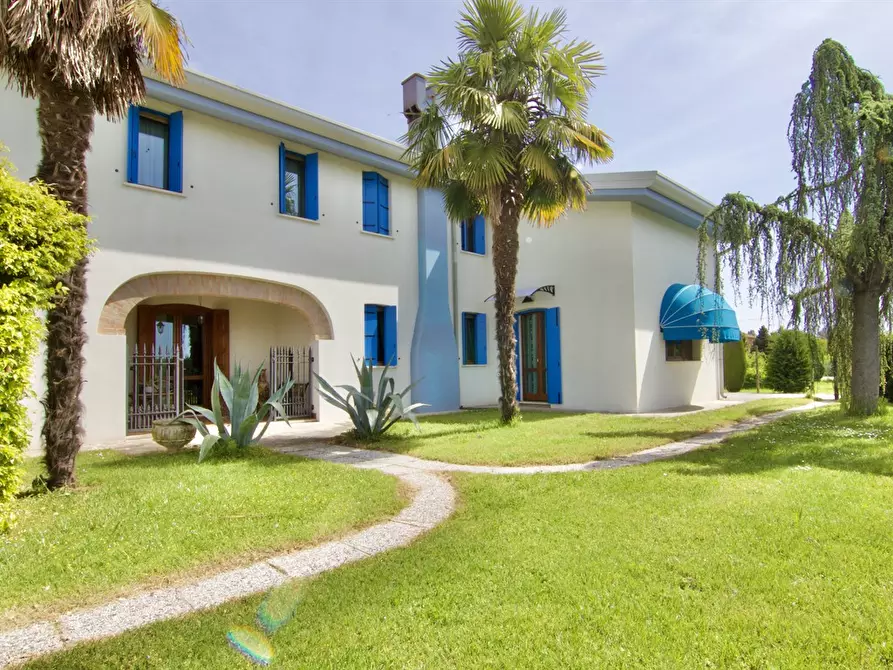 Immagine 3 di Villa in vendita  a Castelbaldo