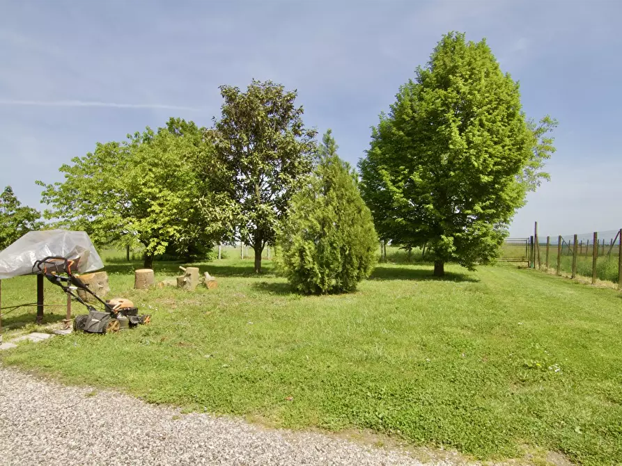 Immagine 4 di Villa in vendita  a Castelbaldo