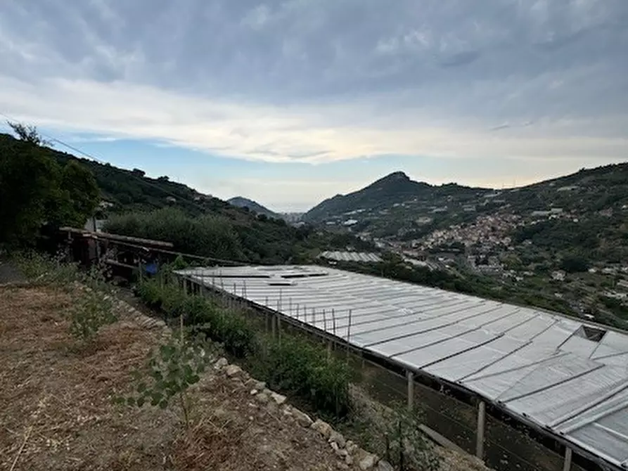 Immagine 1 di Villa in vendita  a San Biagio Della Cima