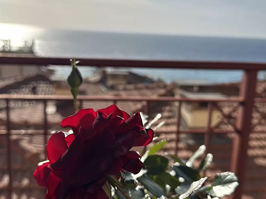 Immagine 2 di Appartamento in vendita  in Corso regina Margherita a Ospedaletti