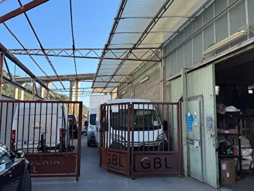 Immagine 4 di Capannone industriale in vendita  in Bia Braie a Camporosso