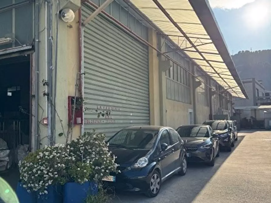 Immagine 3 di Capannone industriale in vendita  in Bia Braie a Camporosso