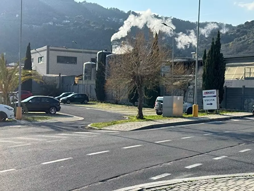 Immagine 6 di Capannone industriale in vendita  in Bia Braie a Camporosso