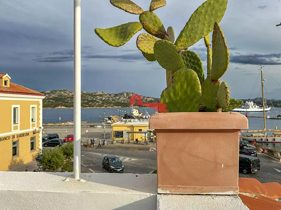 Immagine 7 di Casa indipendente in vendita  a La Maddalena