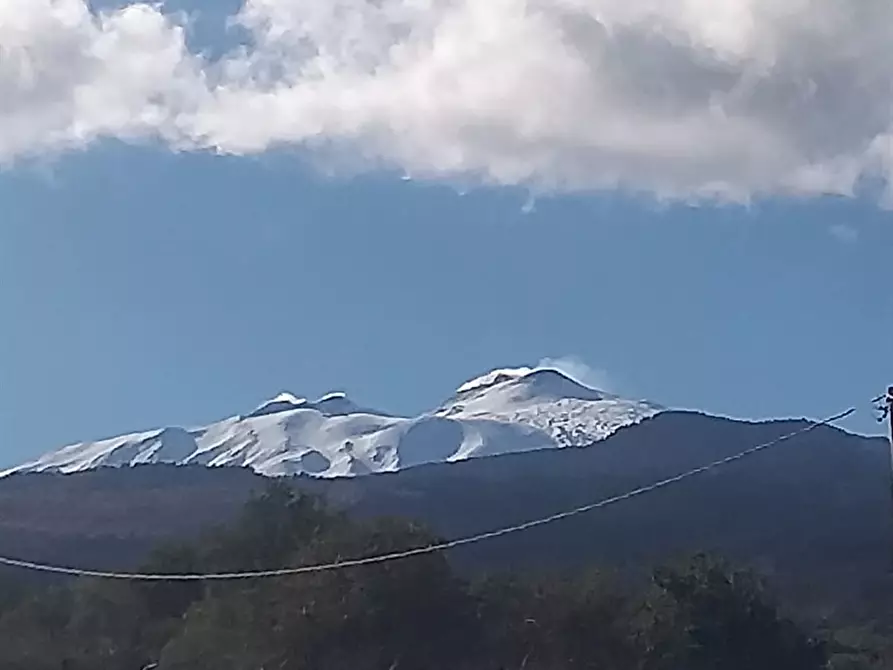 Immagine 9 di Rustico / casale in vendita  in STRADA DEL PINO SNC a Linguaglossa