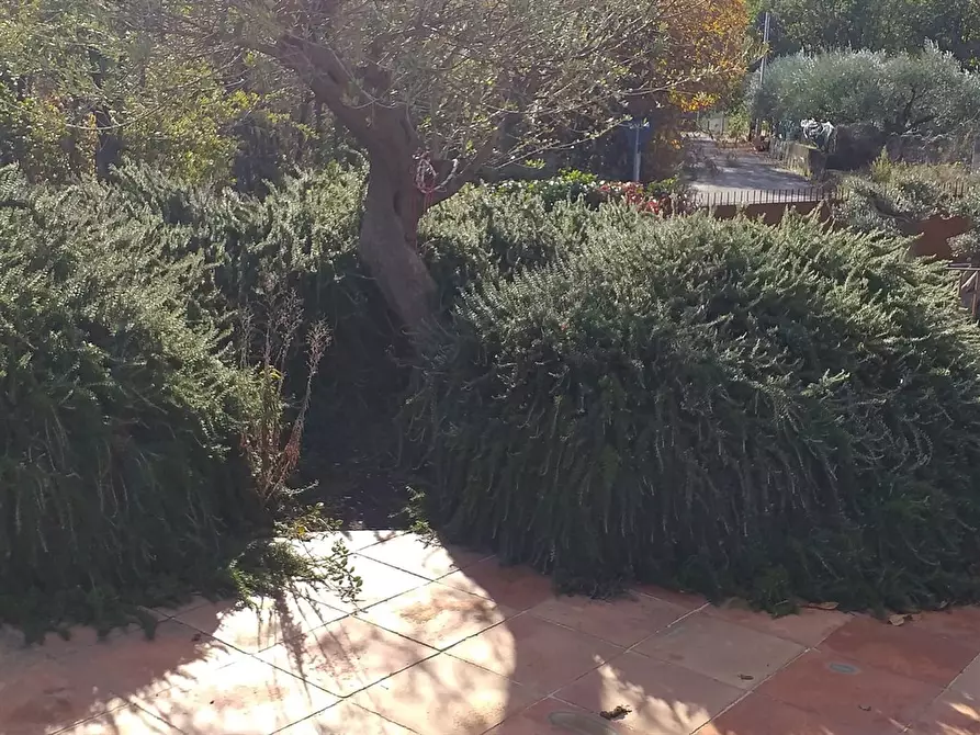 Immagine 1 di Rustico / casale in vendita  in STRADA DEL PINO SNC a Linguaglossa