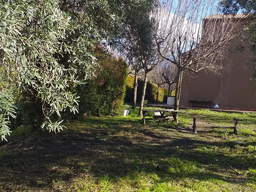 Immagine 5 di Rustico / casale in vendita  in STRADA DEL PINO SNC a Linguaglossa