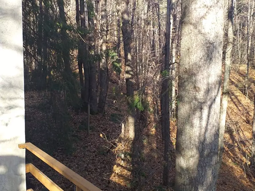 Immagine 8 di Rustico / casale in vendita  in STRADA MARENEVE SNC a Linguaglossa