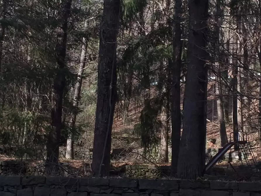 Immagine 7 di Rustico / casale in vendita  in STRADA MARENEVE SNC a Linguaglossa