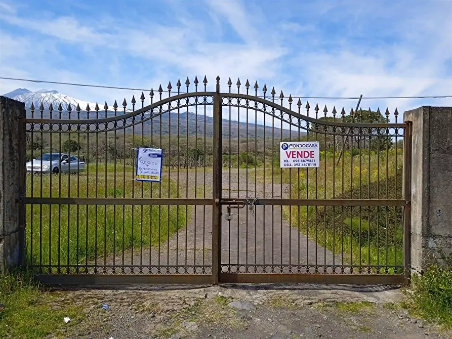 Immagine 3 di Rustico / casale in vendita  in VIA NAZIONALE SS 120 SNC a Linguaglossa