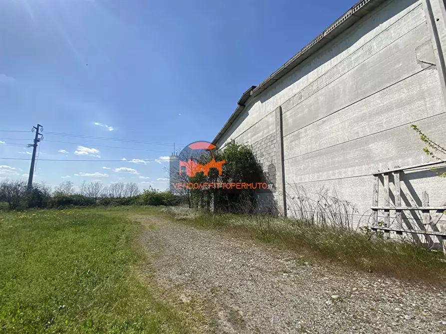 Immagine 8 di Capannone industriale in vendita  in VIA BERGAMO a Mornico Al Serio