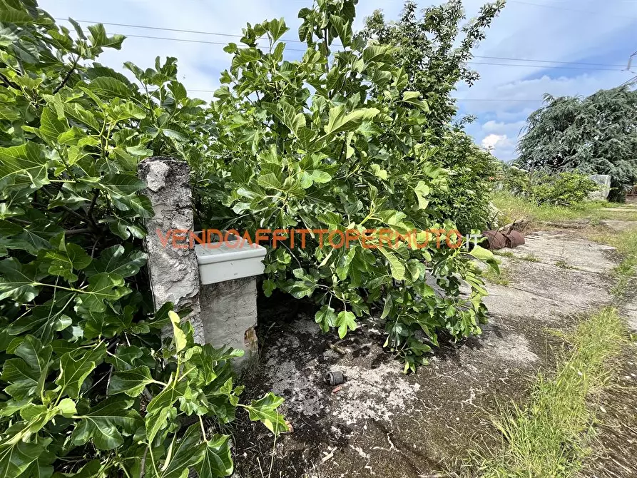 Immagine 8 di Terreno edificabile in vendita  in VIA T. TASSO a Comun Nuovo
