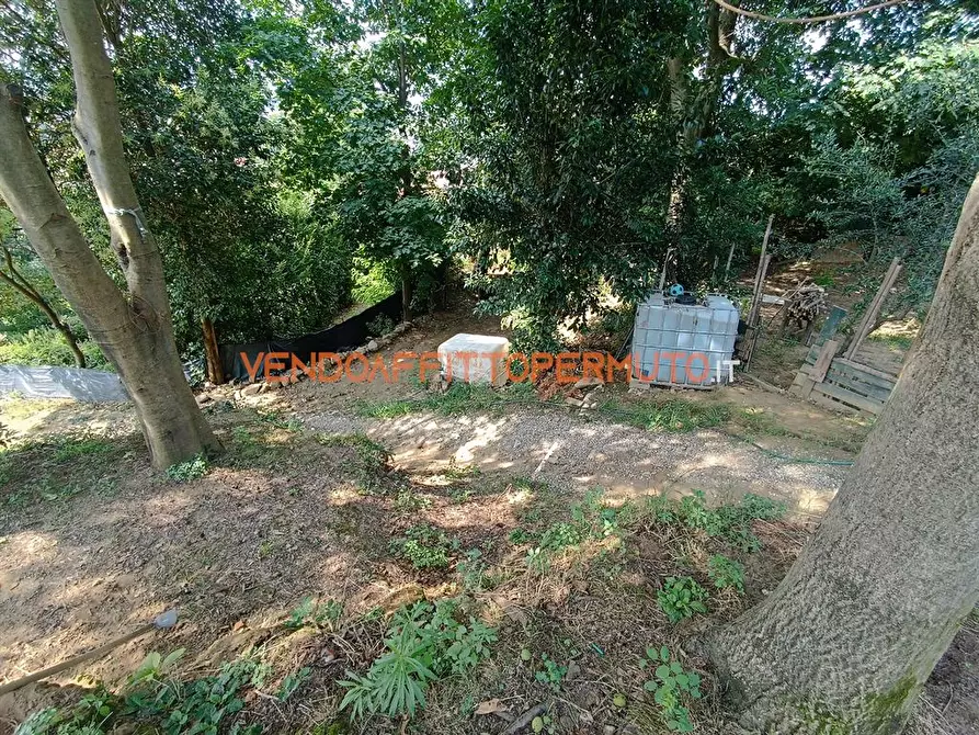 Immagine 5 di Terreno agricolo in vendita  in VIA BENEFATTORI ASILO a Castelli Calepio