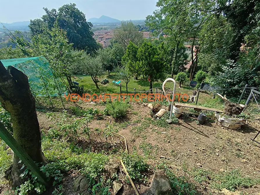 Immagine 2 di Terreno agricolo in vendita  in VIA BENEFATTORI ASILO a Castelli Calepio