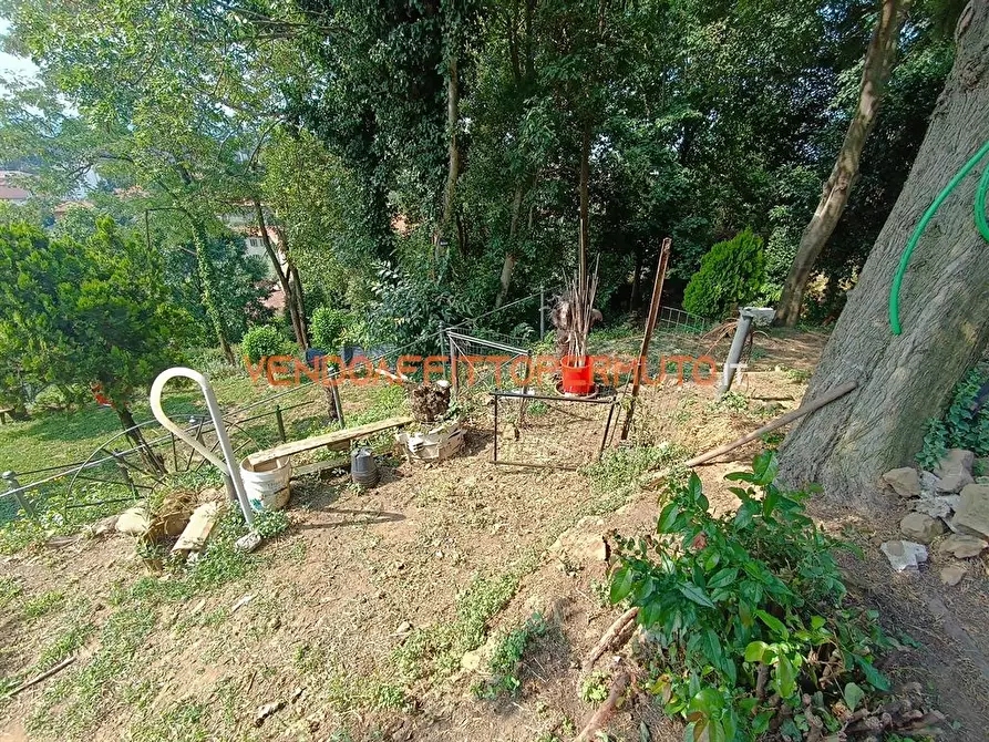 Immagine 3 di Terreno agricolo in vendita  in VIA BENEFATTORI ASILO a Castelli Calepio