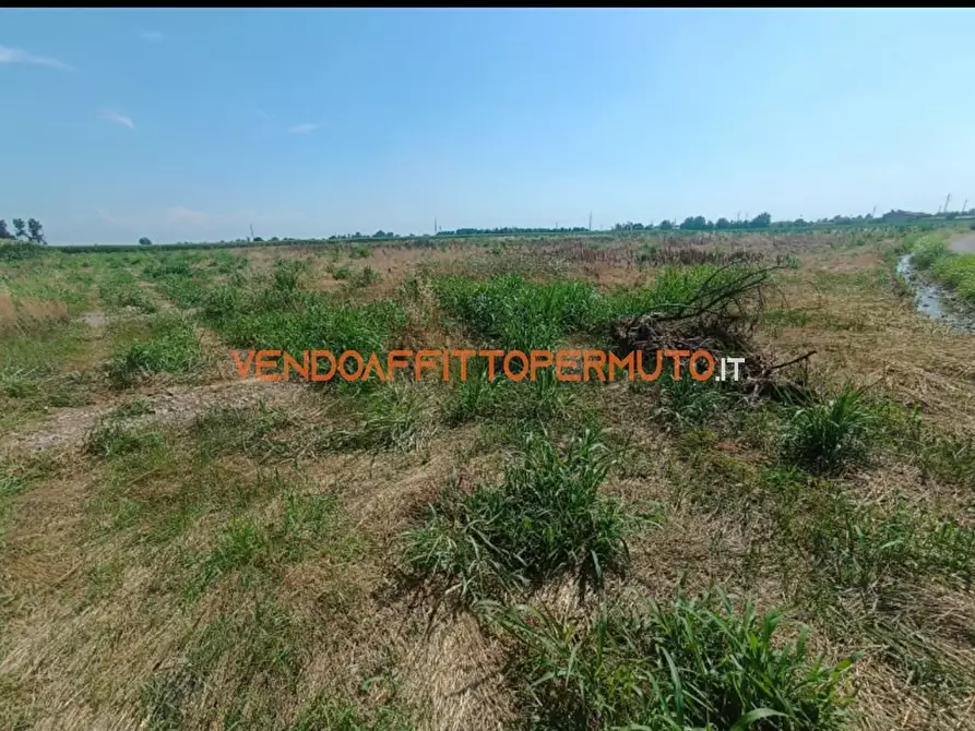 Immagine 3 di Terreno agricolo in vendita  in VIA CAMPO RAMPINO a Covo