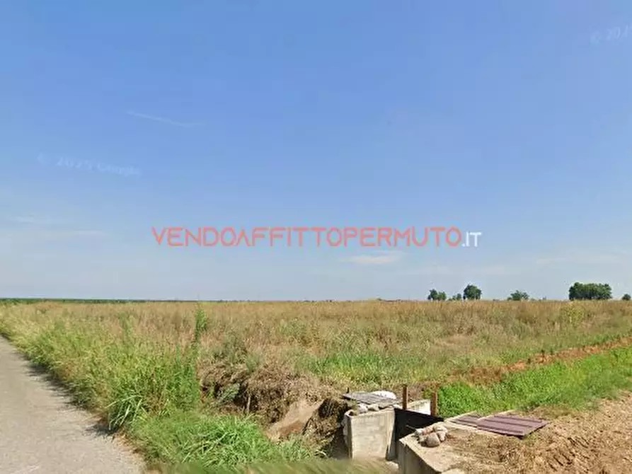 Immagine 8 di Terreno agricolo in vendita  in VIA CAMPO RAMPINO a Covo