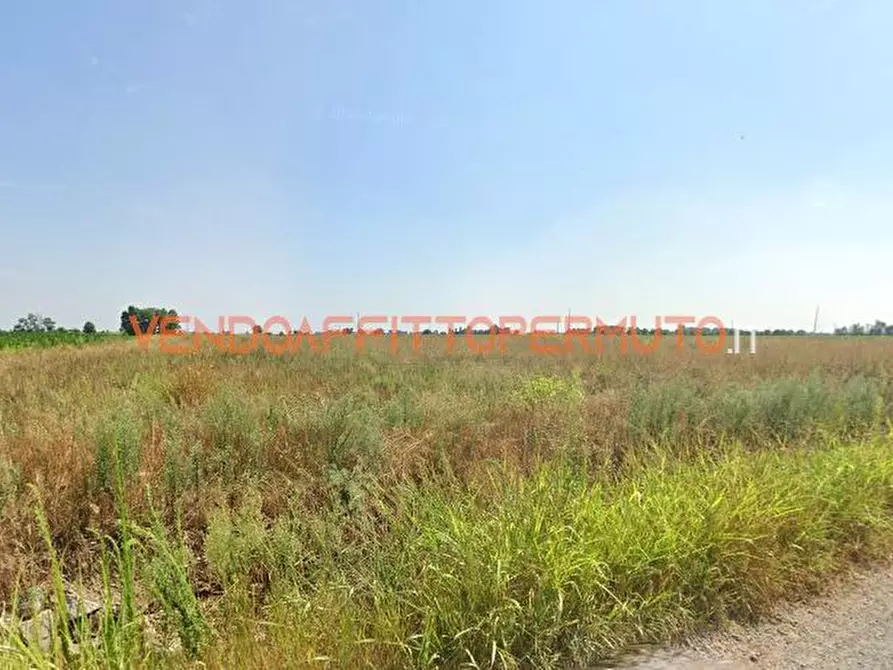 Immagine 9 di Terreno agricolo in vendita  in VIA CAMPO RAMPINO a Covo