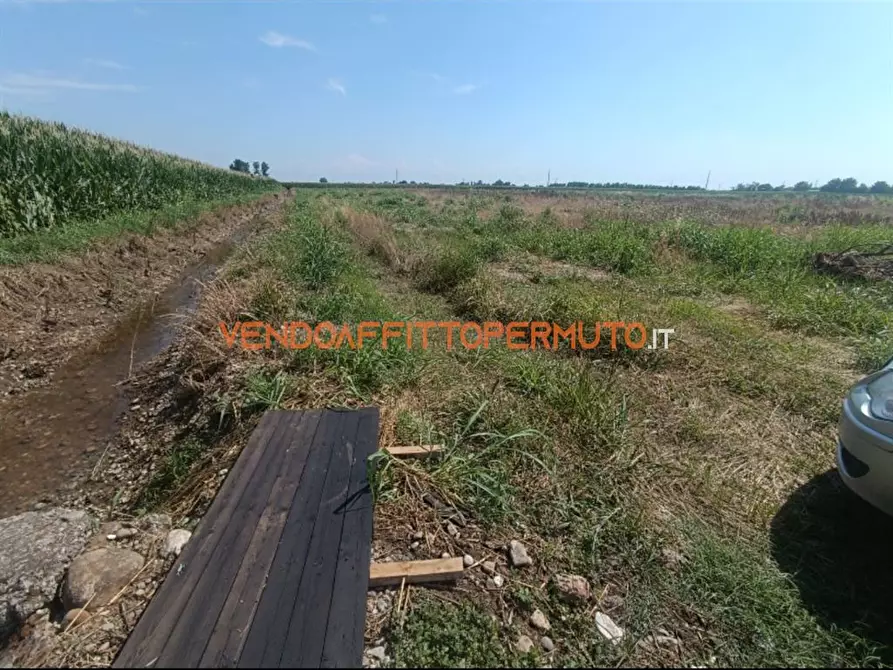 Immagine 7 di Terreno agricolo in vendita  in VIA CAMPO RAMPINO a Covo