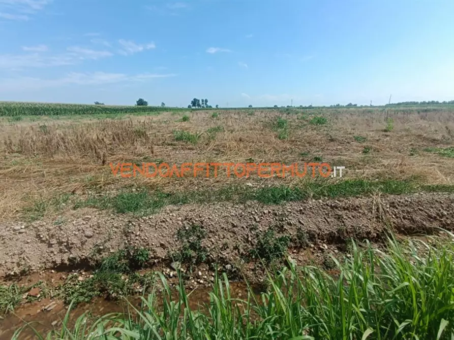 Immagine 1 di Terreno agricolo in vendita  in VIA CAMPO RAMPINO a Covo