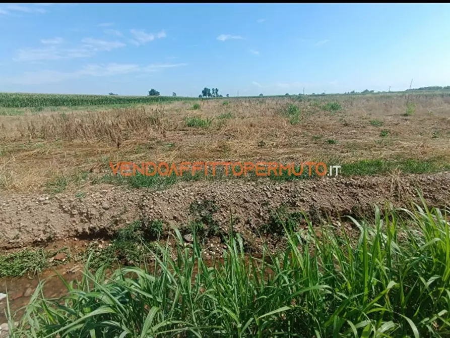 Immagine 2 di Terreno agricolo in vendita  in VIA CAMPO RAMPINO a Covo
