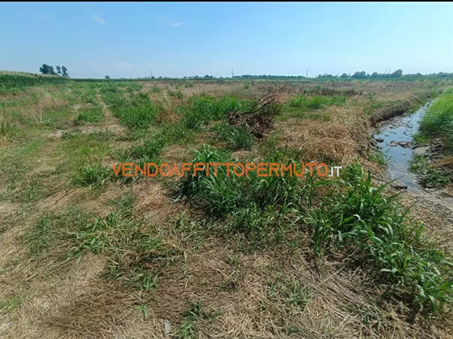 Immagine 6 di Terreno agricolo in vendita  in VIA CAMPO RAMPINO a Covo