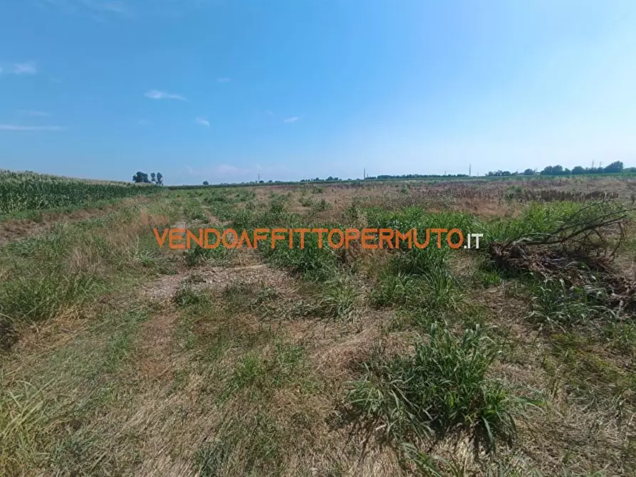 Immagine 4 di Terreno agricolo in vendita  in VIA CAMPO RAMPINO a Covo