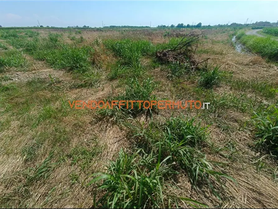 Immagine 5 di Terreno agricolo in vendita  in VIA CAMPO RAMPINO a Covo
