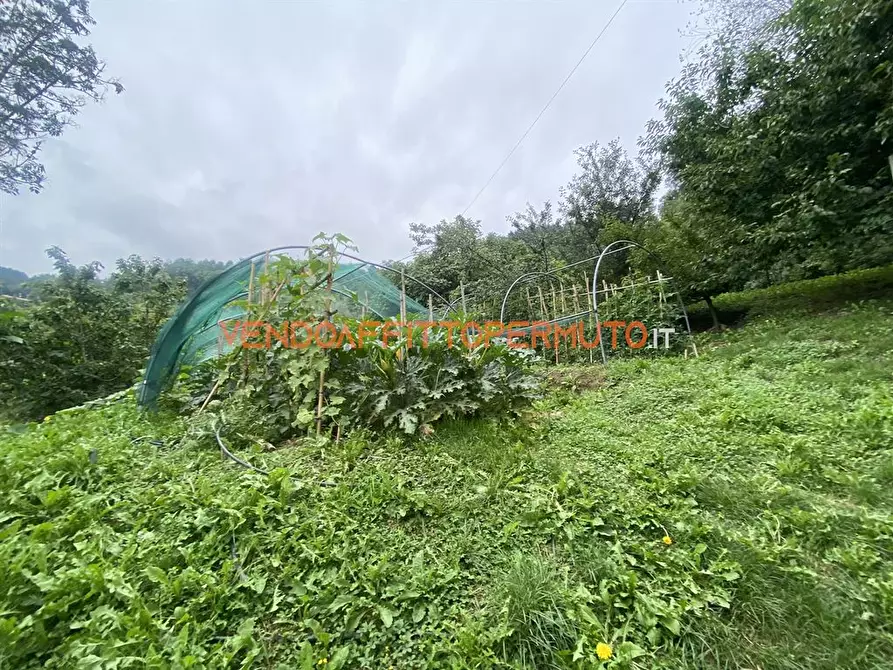 Immagine 1 di Rustico / casale in vendita  in VIA GAFFORELLI a Foresto Sparso