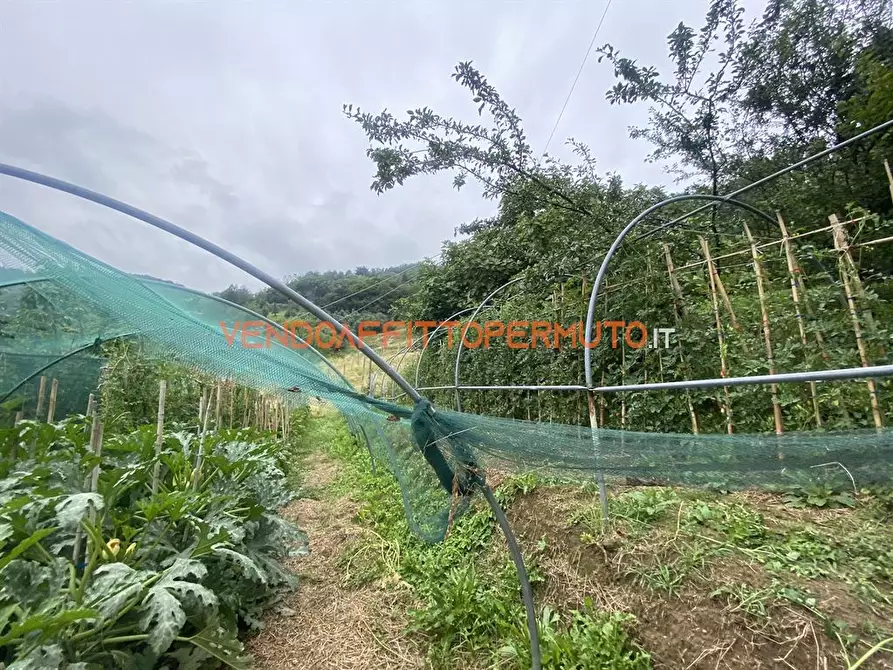 Immagine 3 di Rustico / casale in vendita  in VIA GAFFORELLI a Foresto Sparso