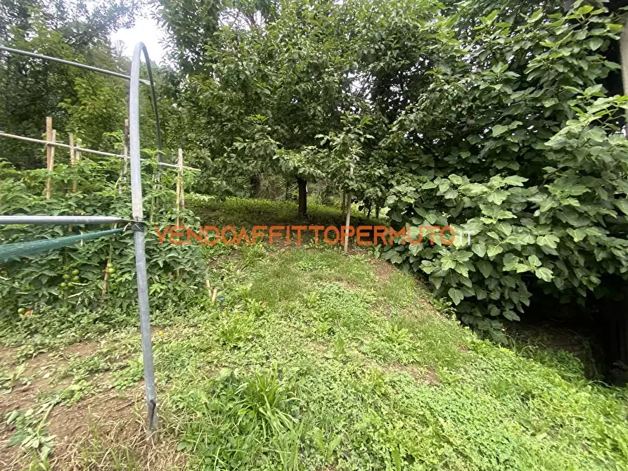 Immagine 4 di Rustico / casale in vendita  in VIA GAFFORELLI a Foresto Sparso