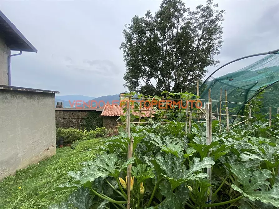 Immagine 9 di Rustico / casale in vendita  in VIA GAFFORELLI a Foresto Sparso