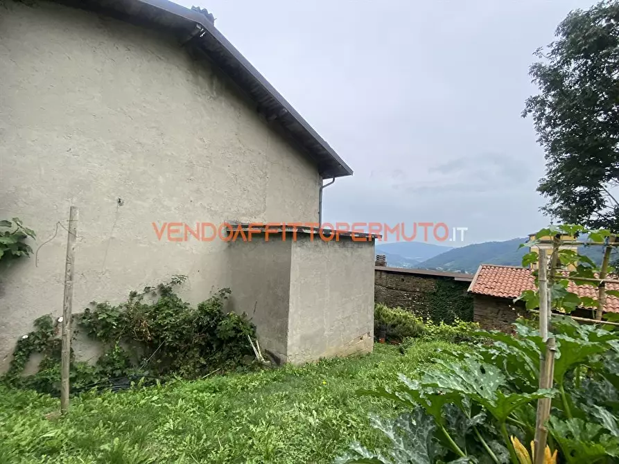 Immagine 6 di Rustico / casale in vendita  in VIA GAFFORELLI a Foresto Sparso