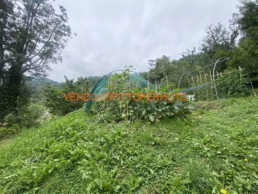 Immagine 2 di Rustico / casale in vendita  in VIA GAFFORELLI a Foresto Sparso