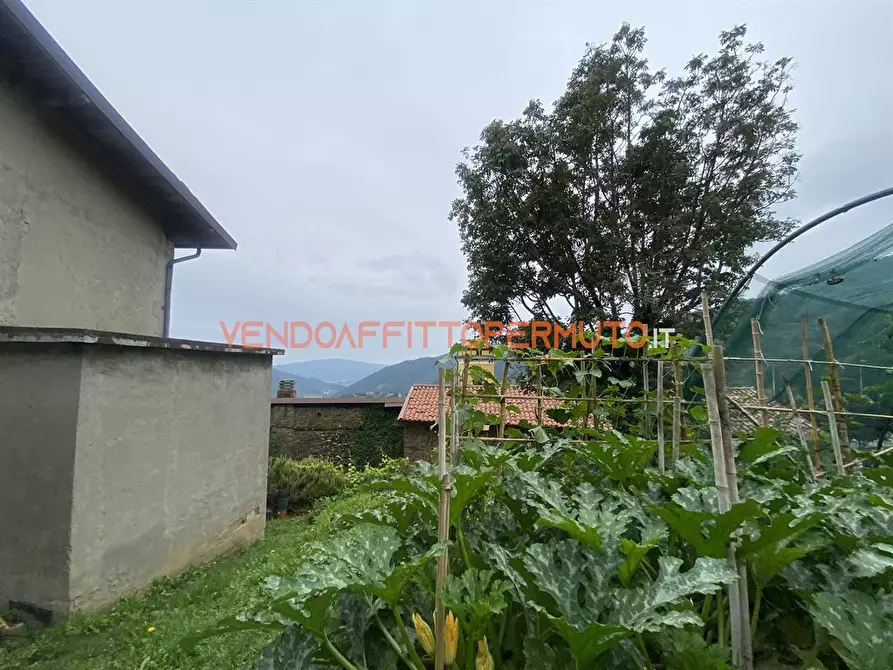 Immagine 7 di Rustico / casale in vendita  in VIA GAFFORELLI a Foresto Sparso