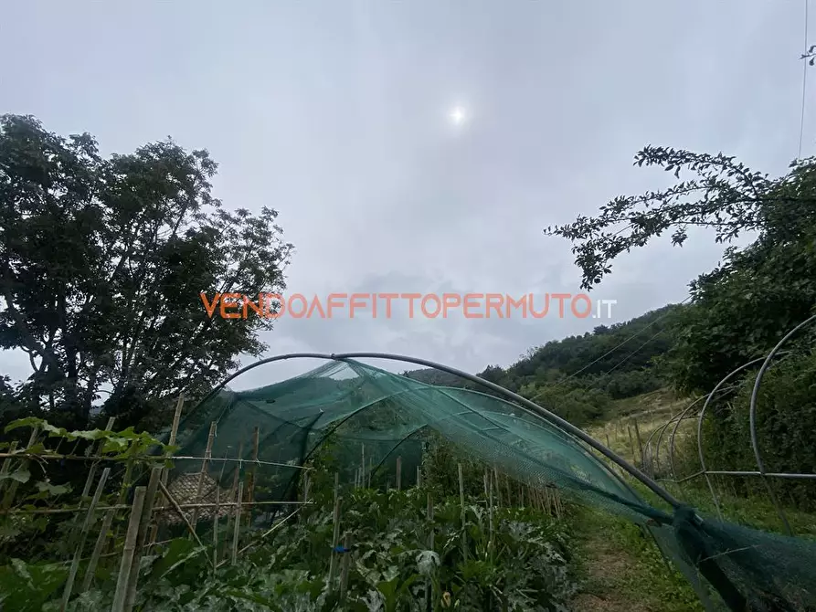 Immagine 8 di Rustico / casale in vendita  in VIA GAFFORELLI a Foresto Sparso