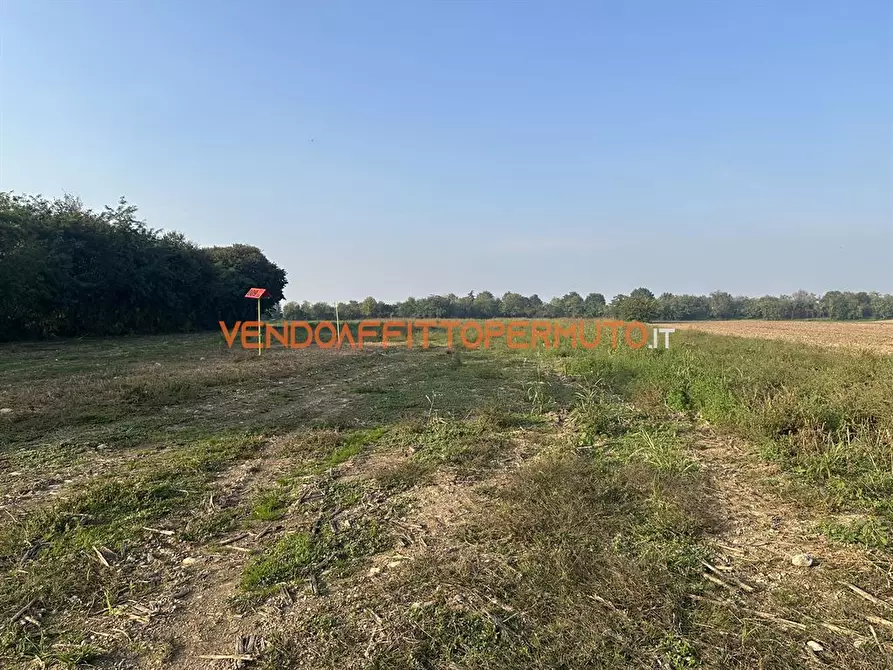 Immagine 9 di Terreno agricolo in vendita  in via diaz a Pontirolo Nuovo