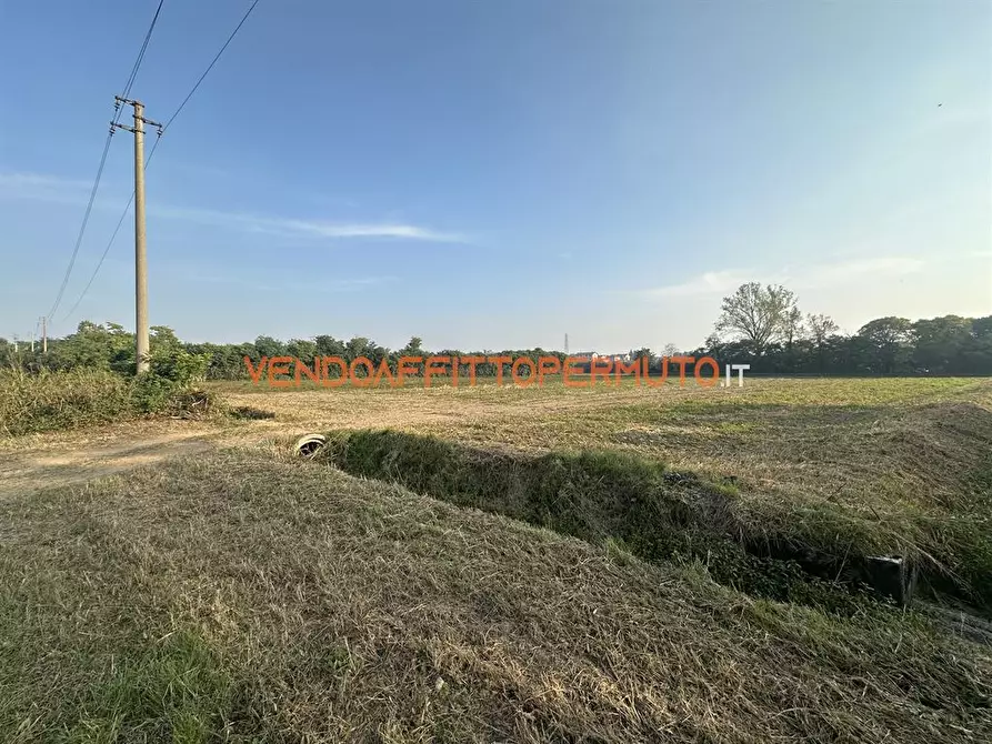Immagine 6 di Terreno agricolo in vendita  in via diaz a Pontirolo Nuovo